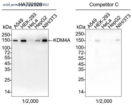 HUABIO HA750901 image 1