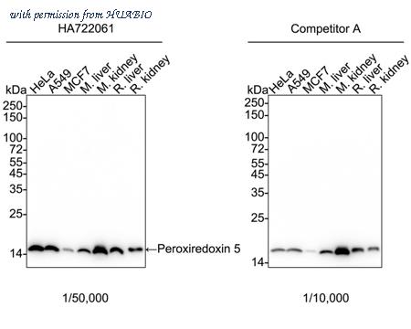 HUABIO HA750915 image 1