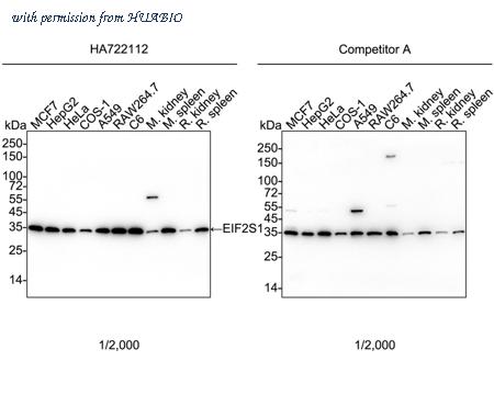 HUABIO HA750938 image 1