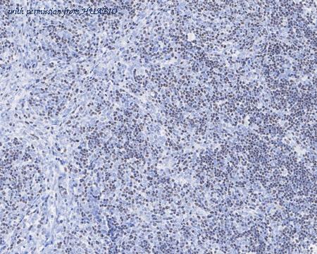 HUABIO HA750947 image 2