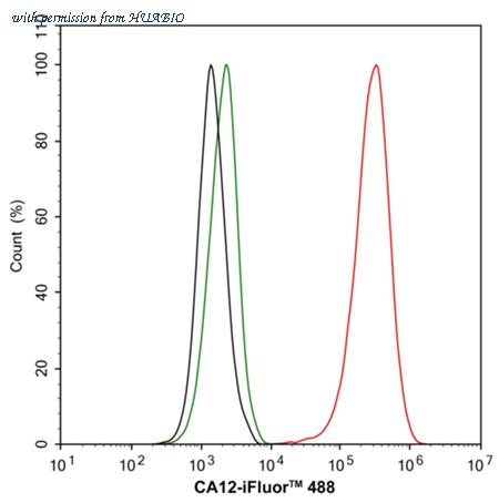 HUABIO HA751008 image 3