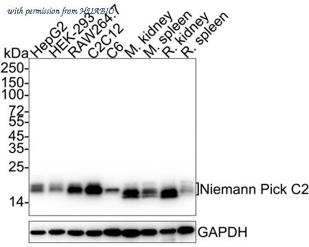 HUABIO HA751011 image 1