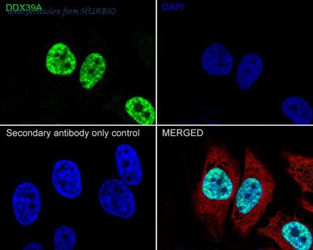 HUABIO HA751020 image 3