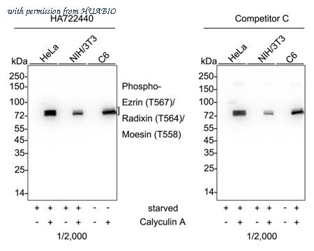 HUABIO HA751023 image 1