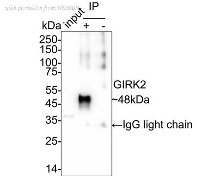 HUABIO HA751027 image 3