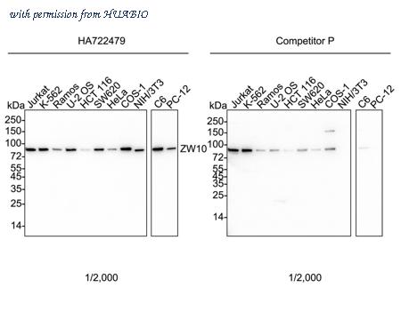 HUABIO HA751028 image 1