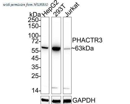 HUABIO HA751047 image 1
