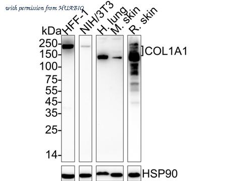 HUABIO HA751058 image 1