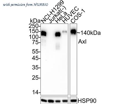 HUABIO HA751097 image 1