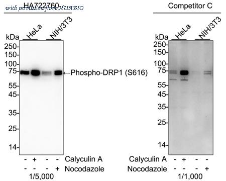 HUABIO HA751109 image 1