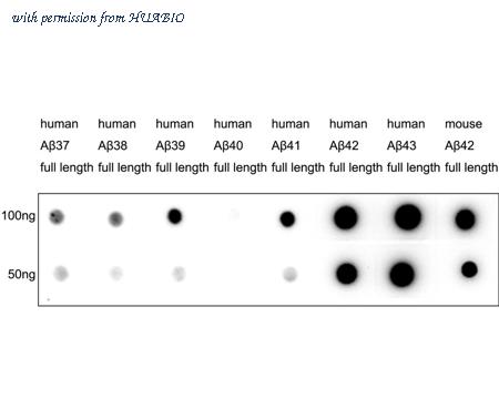 HUABIO HA751209 image 1