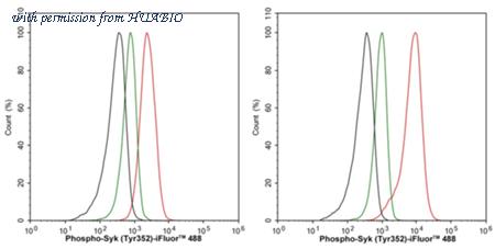 HUABIO HA751422 image 3