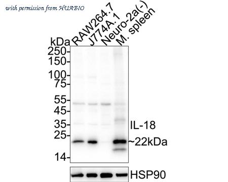 HUABIO HA751511 image 1