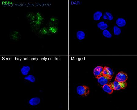 HUABIO HA751611 image 3