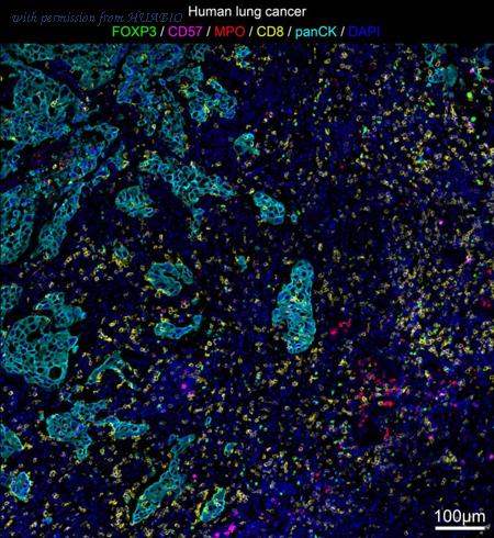 HUABIO IRS008 image 1