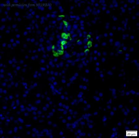 HUABIO IRS197RB image 1