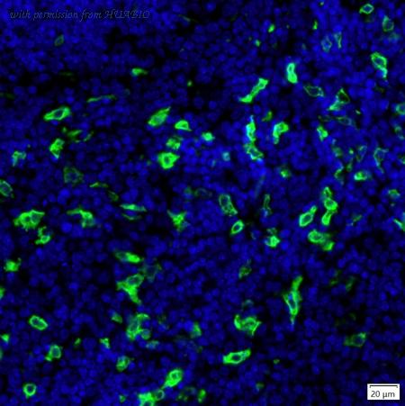 HUABIO IRS232RB image 1