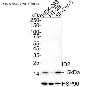 HUABIO M1301-2 image 1