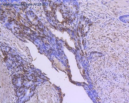 HUABIO M1306-2 image 3