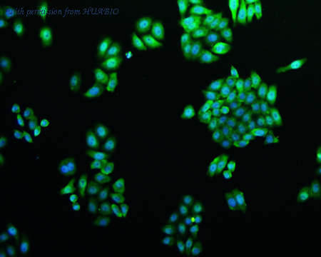 HUABIO M1505-12 image 2