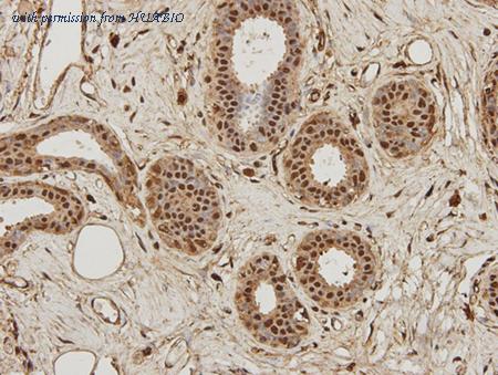 HUABIO M1505-8 image 2