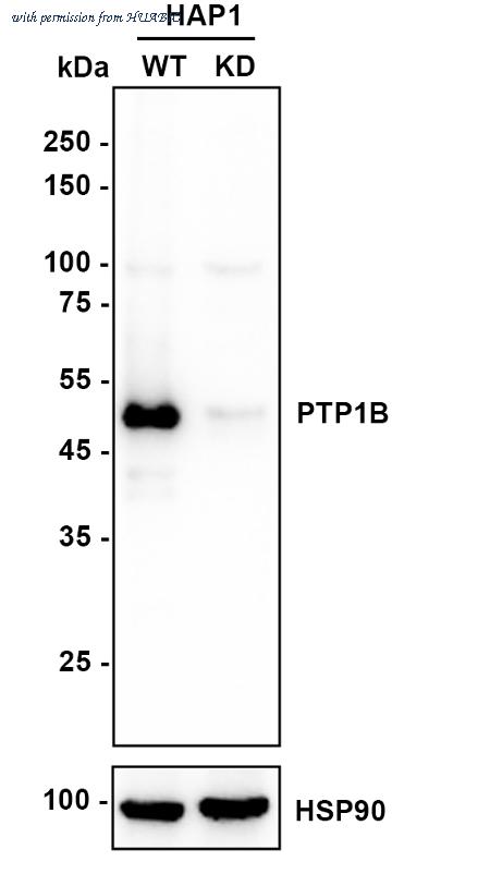 HUABIO M1511-7 image 1