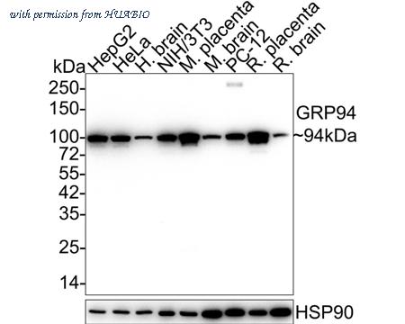 HUABIO M1701-12 image 1