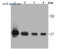 HUABIO R1208-3 image 1