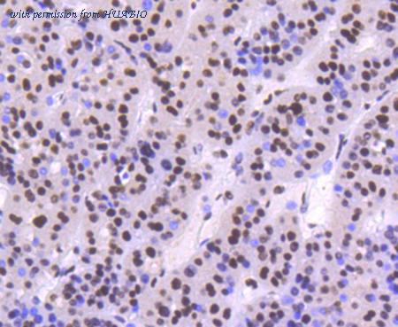 HUABIO R1210-2 image 3