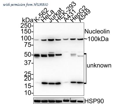 HUABIO R1307-3 image 1