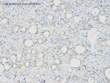 HUABIO R1307-3 image 3