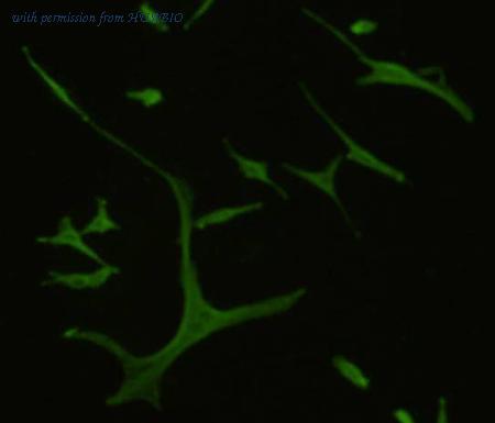 HUABIO R1308-8 image 2