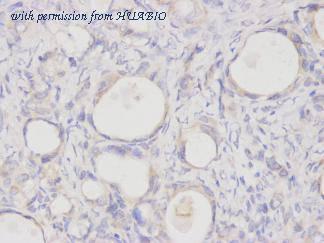 HUABIO R1311-4 image 3