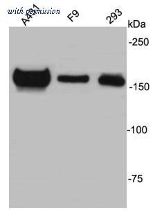 HUABIO R1402-2 image 1