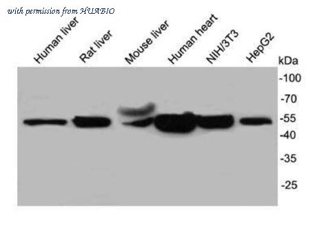 HUABIO R1404-5 image 2