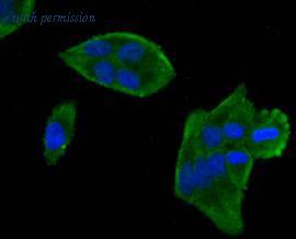 HUABIO R1510-18 image 1