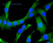 HUABIO R1510-4 image 1