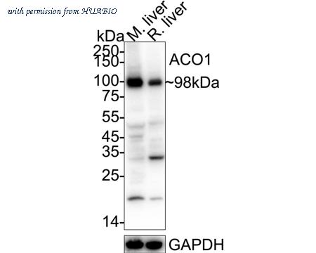 HUABIO R1512-16 image 1