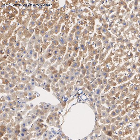 HUABIO R1601-9 image 3