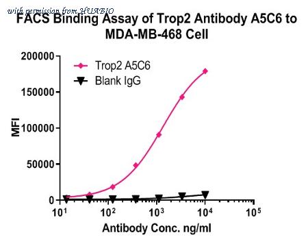 HUABIO HA600012 image 2