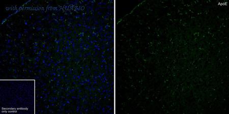 HUABIO HA601391 image 1