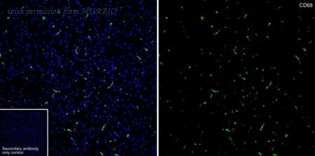 HUABIO HA723708 image 1