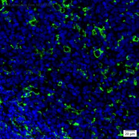 HUABIO IRS103RT image 1