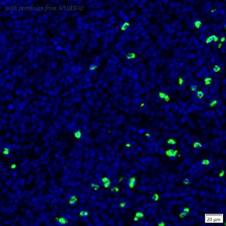 HUABIO IRS107RB image 1