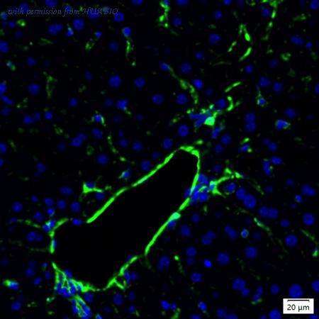 HUABIO IRS220RT image 1