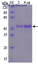 HitGen HGE3_RNF114_AHSM image 1
