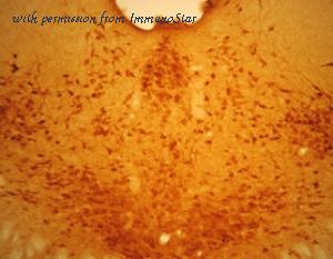 ImmunoStar 24446 image 1