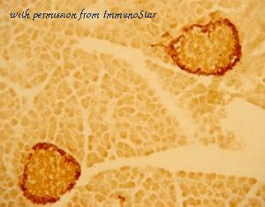 ImmunoStar 20076 image 1