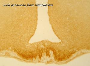 ImmunoStar 20089 image 1