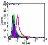 Invitrogen MA1-41015 image 1
